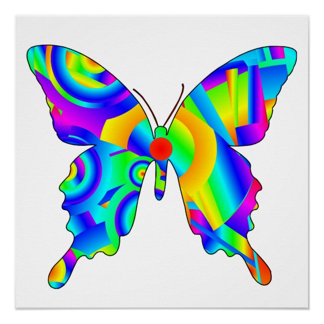 Pôster Poster brilhante da borboleta de Verão (Frente)