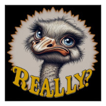Poster brilhante de Ostrich