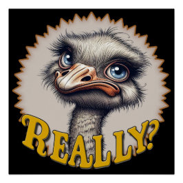 Pôster Poster brilhante de Ostrich