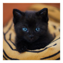 poster brilhante Glossy Glossy