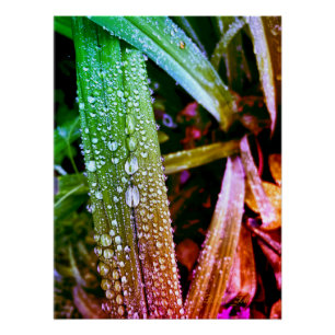 Pôster Poster brilhante, salpicos de cores, gotas de chuv