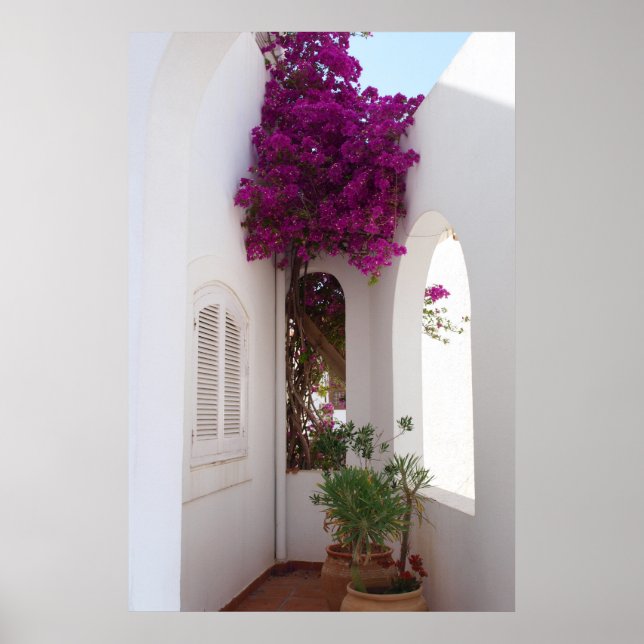 Pôster Póster casa mediterrânica (Frente)