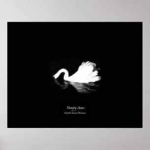 Poster Poster, cisne com fome, preto & branco, fotografia