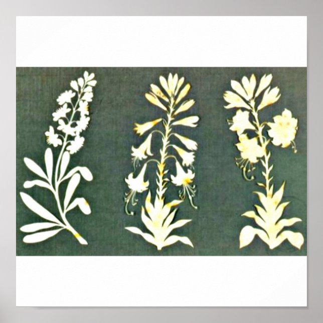 Pôster Poster-Classic/Vintage-Philipp Otto Runge 3 (Frente)