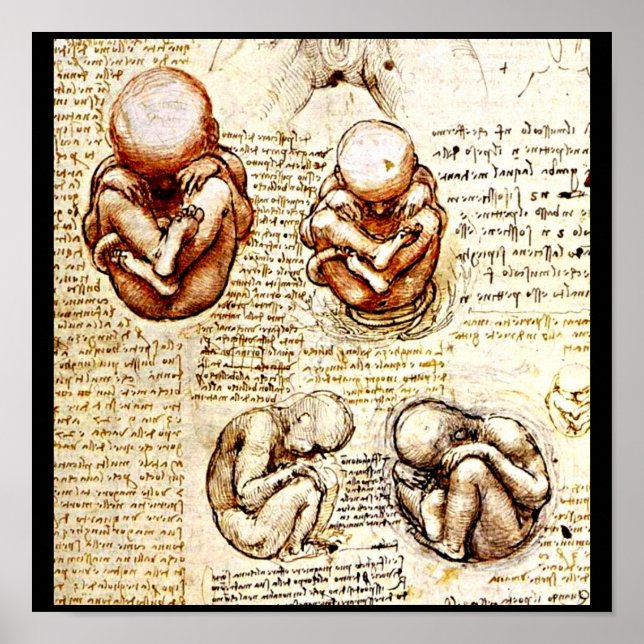 Poster Poster/Clássico/Vintage-Leonardo da Vinci 9 (Frente)