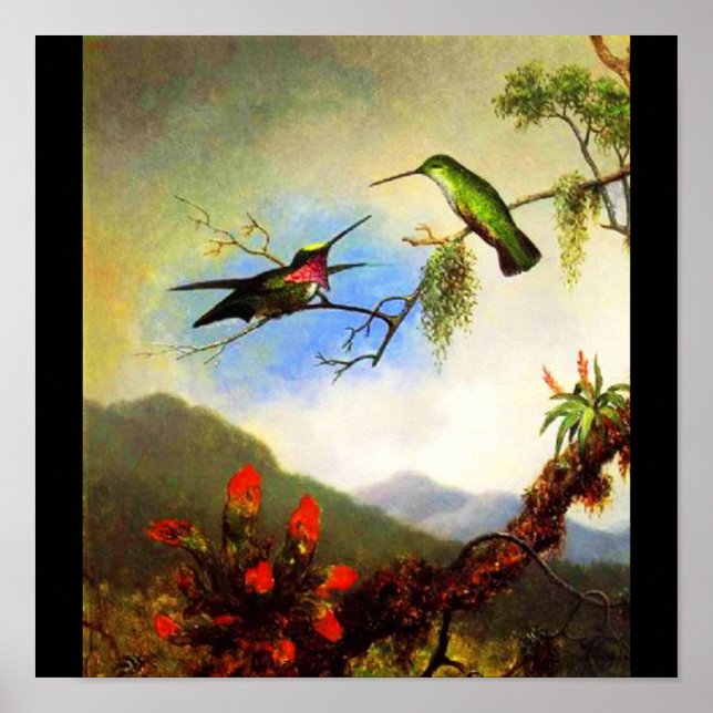 Poster Poster/Clássico/Vintage-Martin Johnson Heade 1 (Frente)