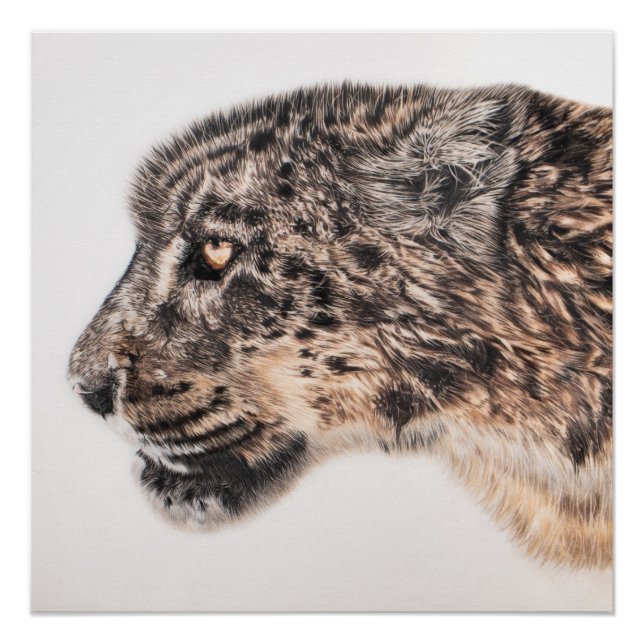 Pôster Poster da parede do leopardo da neve (Frente)