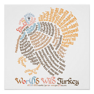 Pôster Poster da Turquia Selvagem do Mundo