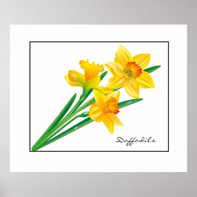 Poster Poster-Daffodils (Frente)