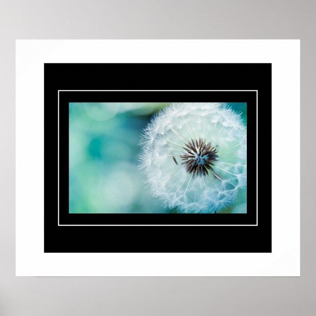 Poster Poster-Dandelion (Frente)