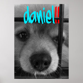 Pôster poster_daniel!