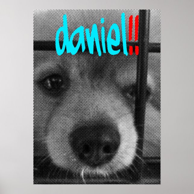 Pôster poster_daniel! (Frente)