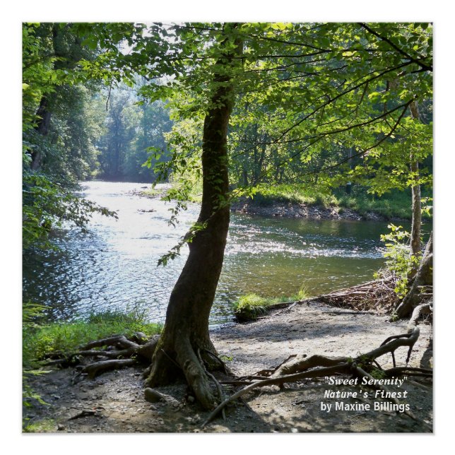 Pôster poster de 20" x 20" (Semibrilho) (Frente)