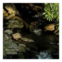 Pôster poster de 20" x 20" (Semibrilho)