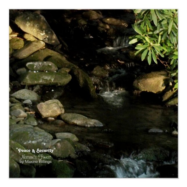 Pôster poster de 20" x 20" (Semibrilho) (Frente)