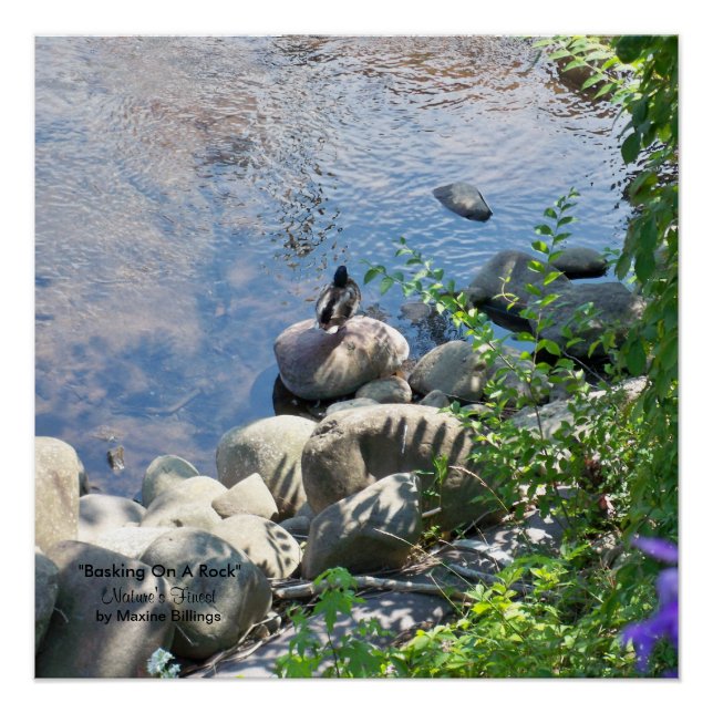 Pôster poster de 20" x 20" (Semibrilho) (Frente)