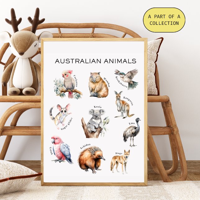 Pôster Poster de Educação de Animais Australianos (Criador carregado)