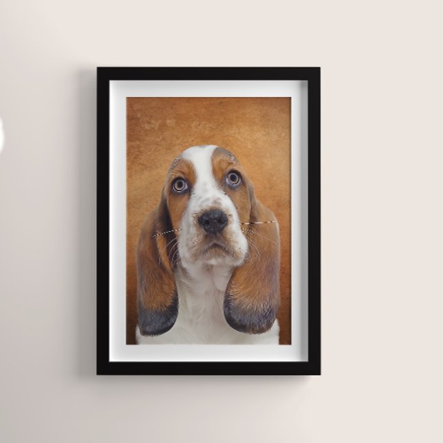 Pôster Poster de Hound Basset (Criador carregado)