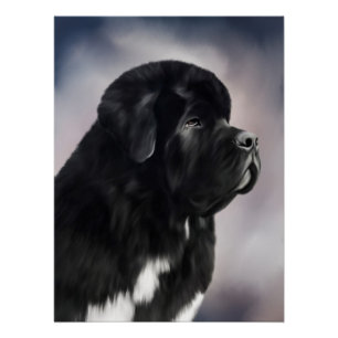 Pôster Poster de Landseer Terra Nova do urso de Notta