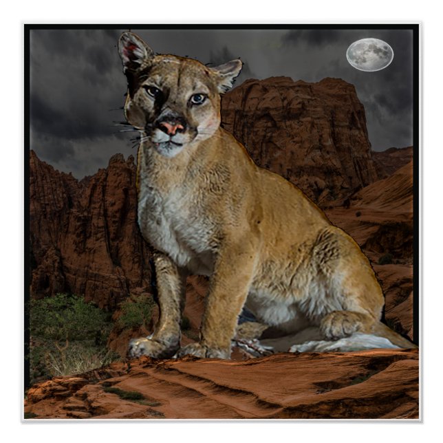 Pôster poster de montanha (Frente)