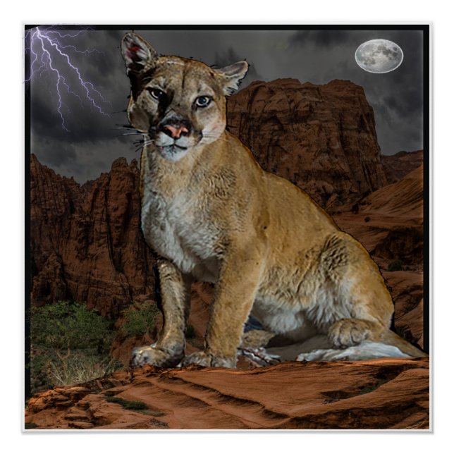 Pôster poster de montanha (Frente)