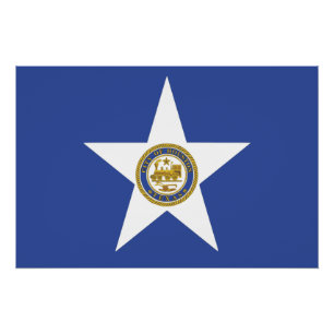 Pôster Poster de muro patriótico com bandeira de Houston