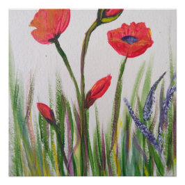 Pôster Poster de papoila selvagem