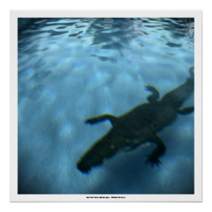 Pôster Poster DE PISCINA 3D DA SÉRIE DE DA DAVID p05b