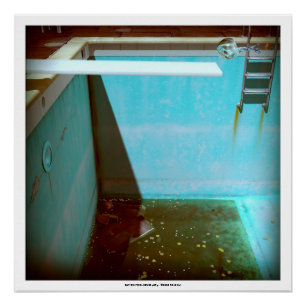 Pôster Poster DE PISCINA 3D DA SÉRIE DE  DA DAVID p09g