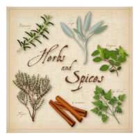 Poster de plantas aromáticas e especiarias