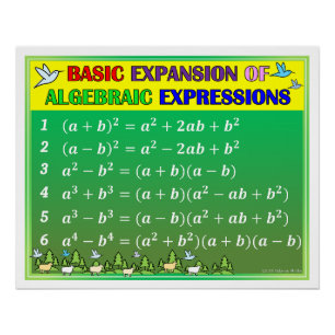 Pôster Poster de Sala de Aula de Matemática em Álgebra -