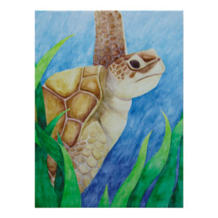 Pôster Poster de Tartaruga do Mar
