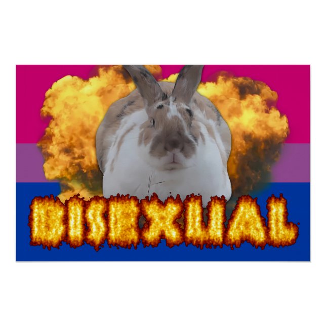 Pôster Poster do Orgulho Paddy (Bissexual) (Frente)