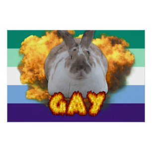 Pôster Poster do Orgulho Paddy (MLM)