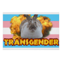 Poster do Orgulho Paddy (Transgender)