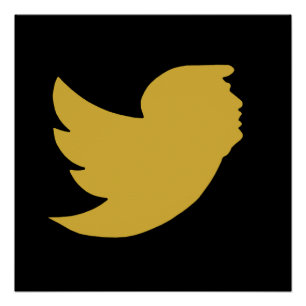 PÔSTER POSTER - DOURADO T BIRD