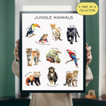 Poster educacional de animais da selva
