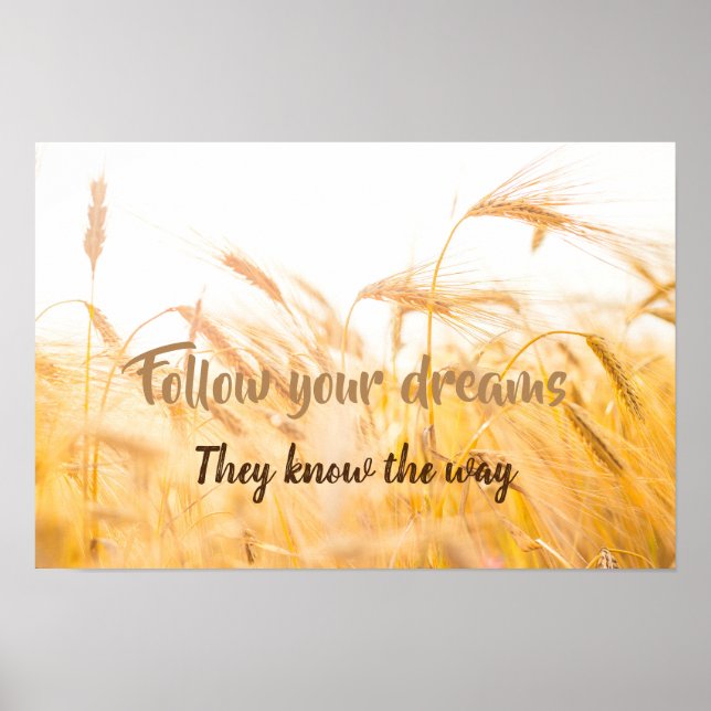 Poster Poster-Follow Your Dreams (Frente)