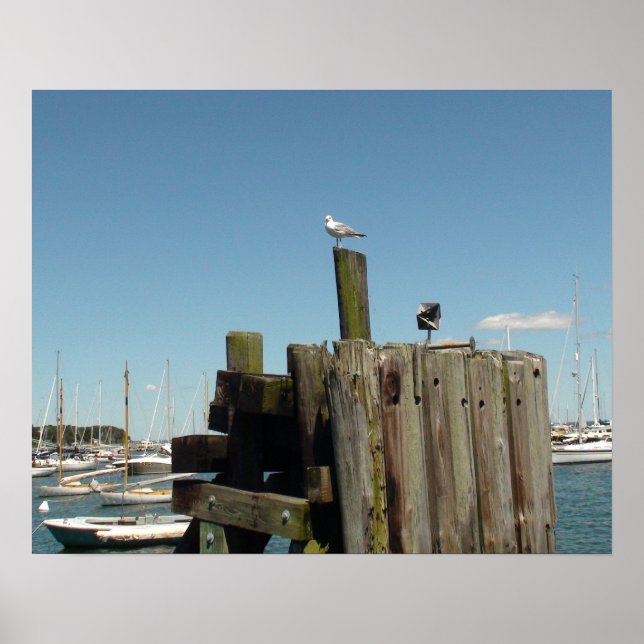 Poster Poster: Foto do Vineyard de Martha (Frente)