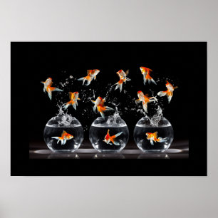 Poster Poster-Goldfish