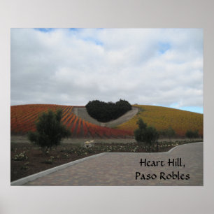 Pôster Poster: Heart Hill, Paso Robles, no outono