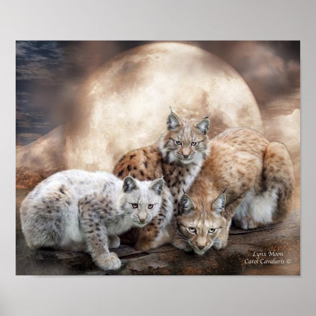 Pôster Poster/Impressão (Frente)