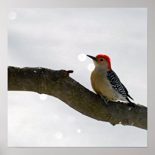 Poster Poster/Impressão