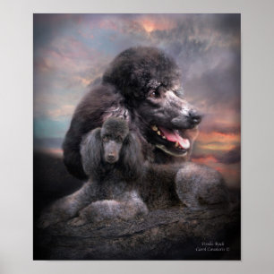 Pôster Poster/impressão da arte da rocha da caniche
