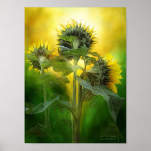 Poster Poster/impressão da arte dos adoradores de Sun