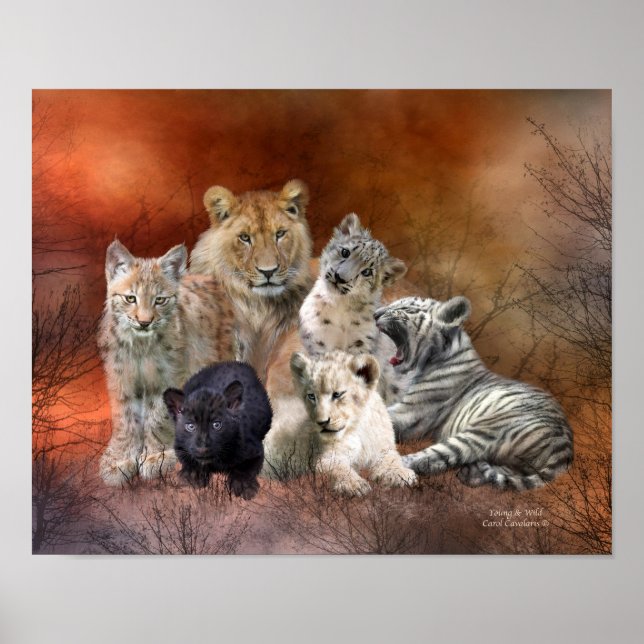 Pôster Poster/Impressão de Arte Jovem E Selvagem (Frente)