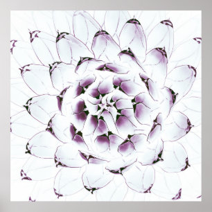 Poster Poster/impressão do cacto da agave