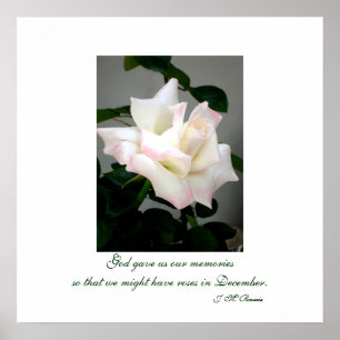 Poster Poster/impressão do rosa branco