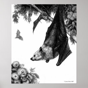 Pôster Poster/impressões das raposas de vôo