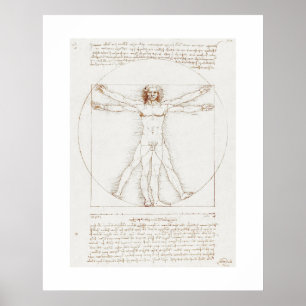 POSTER PÔSTER: LEONARDO DA VINCI : VITRUVIAN MAN